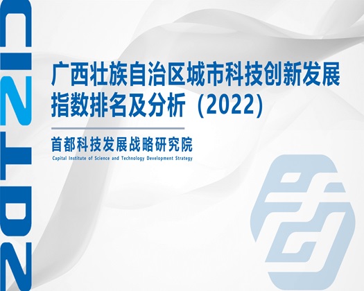 男人狂操女人视频【成果发布】广西壮族自治区城市科技创新发展指数排名及分析（2022）